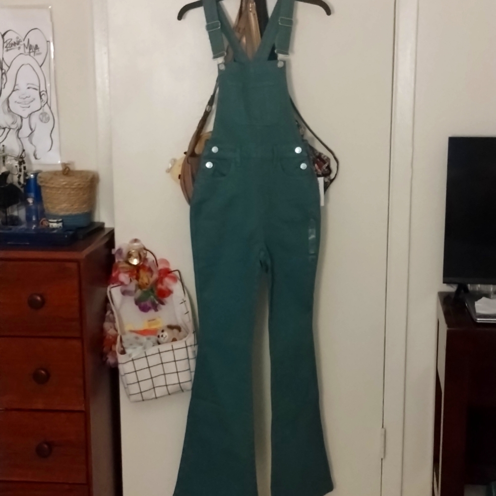 PacSun overalls